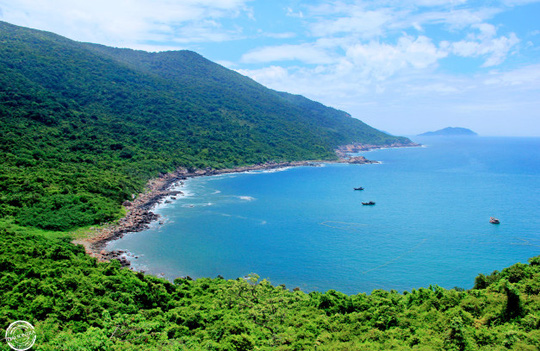 Đà[-]Nẵng[-]đã[-]báo[-]cáo[-]gửi[-]Thủ[-]tướng[-]về[-]dự[-]án[-]xâm[-]hại[-]Sơn[-]Trà